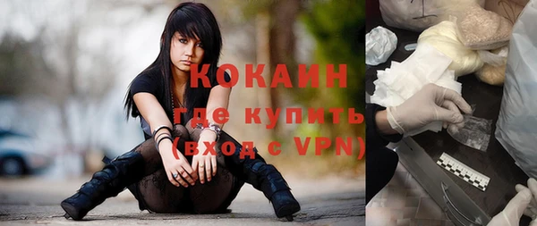 твердый Алзамай
