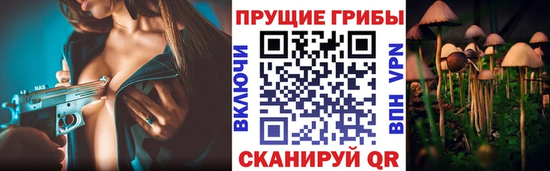 ссылка на мегу зеркало  Бологое  Галлюциногенные грибы Magic Shrooms 