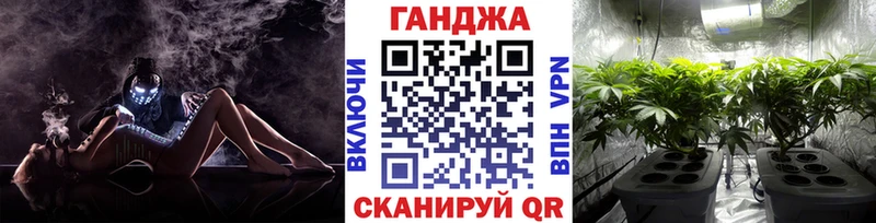 Канабис план  Бологое 